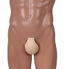 最強の男にふさわしいペニスパット ベージュ